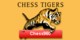 Allgemeine Förderer und Sponsoren von Chess960
